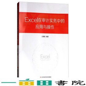 Excel在审计实务中的应用与操作中国时代经济出9787511926333