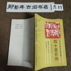 西安文史纵横  四十里长街