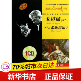 保正版！伟大的指挥家卡拉扬.柔板音乐 19787552300437上海音乐出版社沈旋