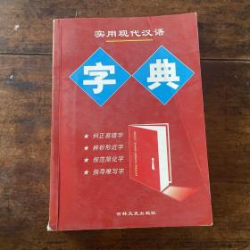 实用现代汉语字典.