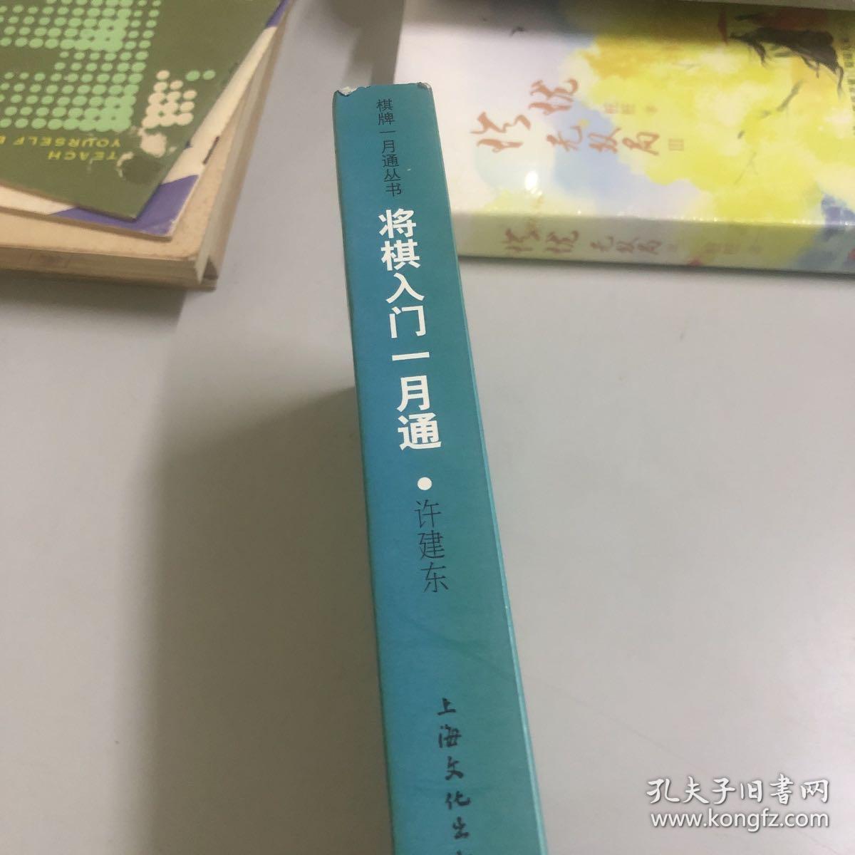 将棋入门一月通 孔夫子旧书网