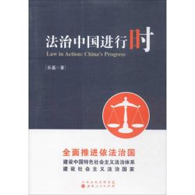 治中国进行时 法学理论 孙磊 著 新华正版