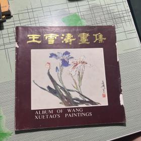 王雪涛画集