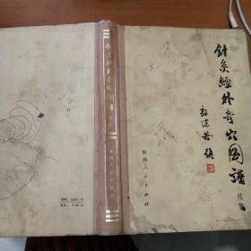 針灸經外奇穴圖譜（續集）