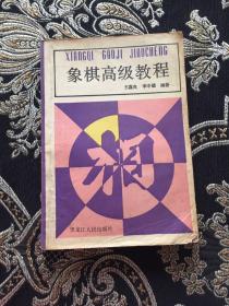 象棋高级教程