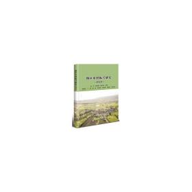 热区乡村振兴研究(2020) 经济理论、法规 金丹,陈诗高,赵松林 新华正版