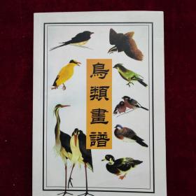 鸟类画谱