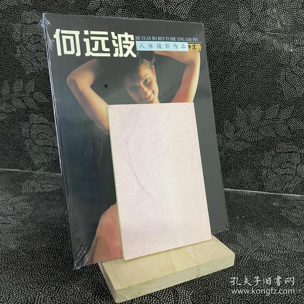 [何远波作品 图书价格_书籍图片_网购评论_孔夫子旧书网