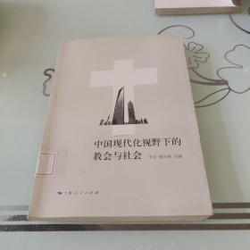 中国现代化视野下的教会与社会(包邮)