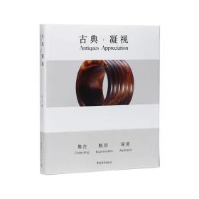 古典·凝视 艾丹 9787515361314 中国青年出版社