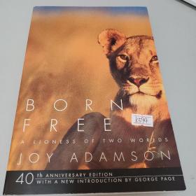 Born Free：A Lioness of Two Worlds