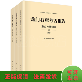 龙门石窟考古报告：东山万佛沟区（全三册）
