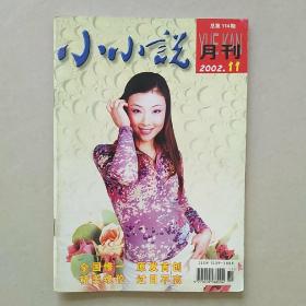 小小说 2002年第11期 月刊