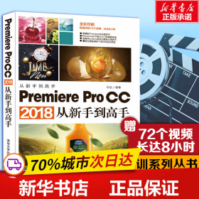 保正版！PREMIERE PRO CC 2018从新手到高手9787302511144清华大学出版社许洁