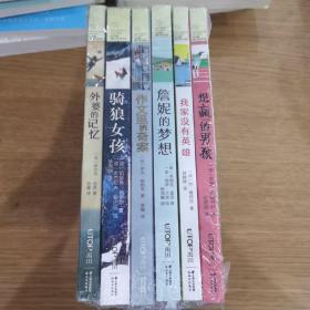 长青藤国际大奖小说书系（6册合售）
