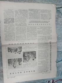 1974.1.14石家莊日報