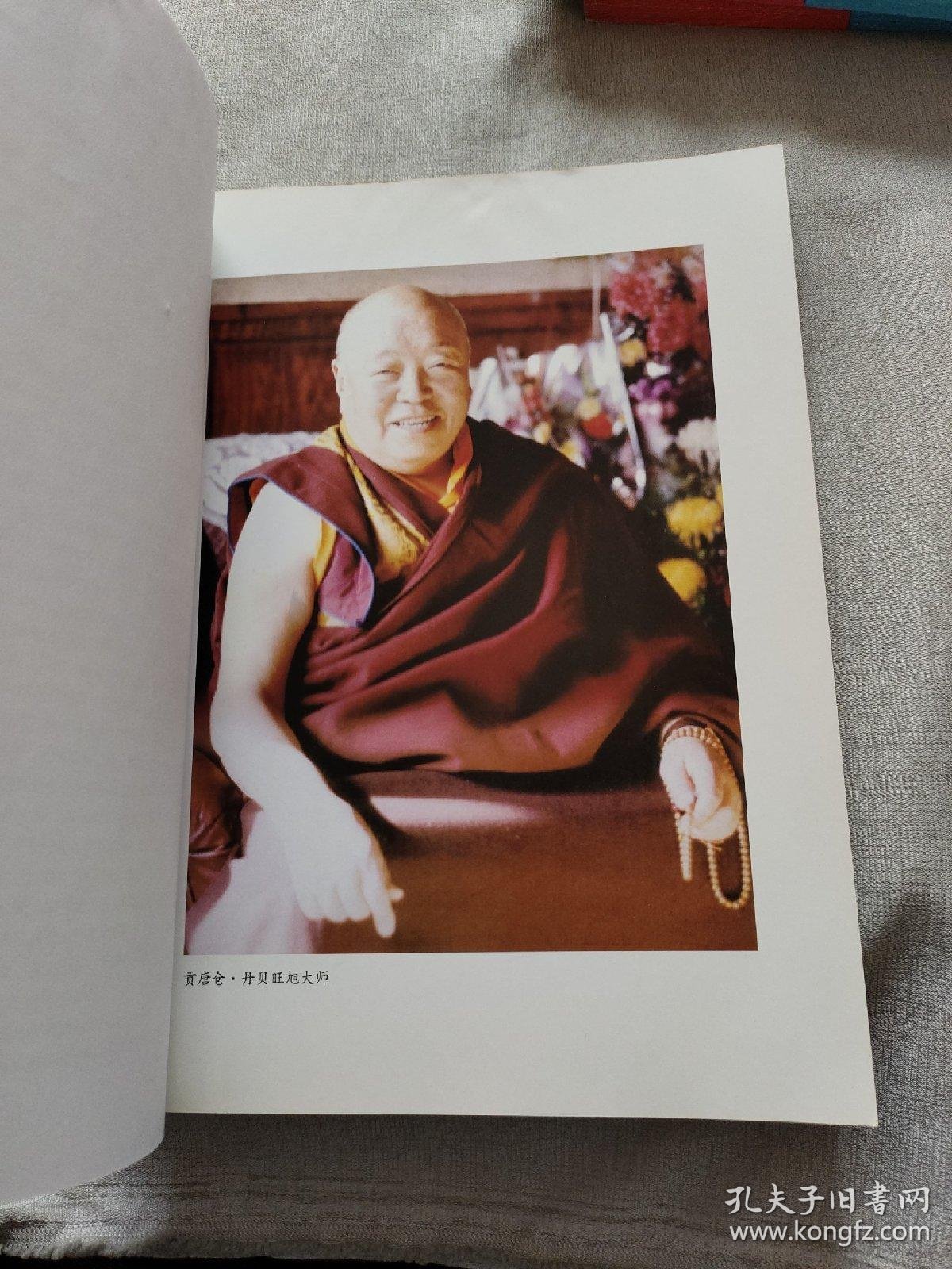 贡唐仓·丹贝旺旭书法集