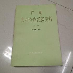 广西农村合作经济史料上册