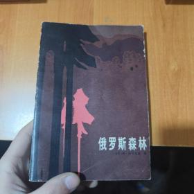 俄罗斯森林 下