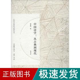 中国诗学:从古典到现代 中国现当代文学理论 李春青 新华正版