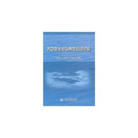 大中型水电站典型启动试验李志祥中国水利水电出版社