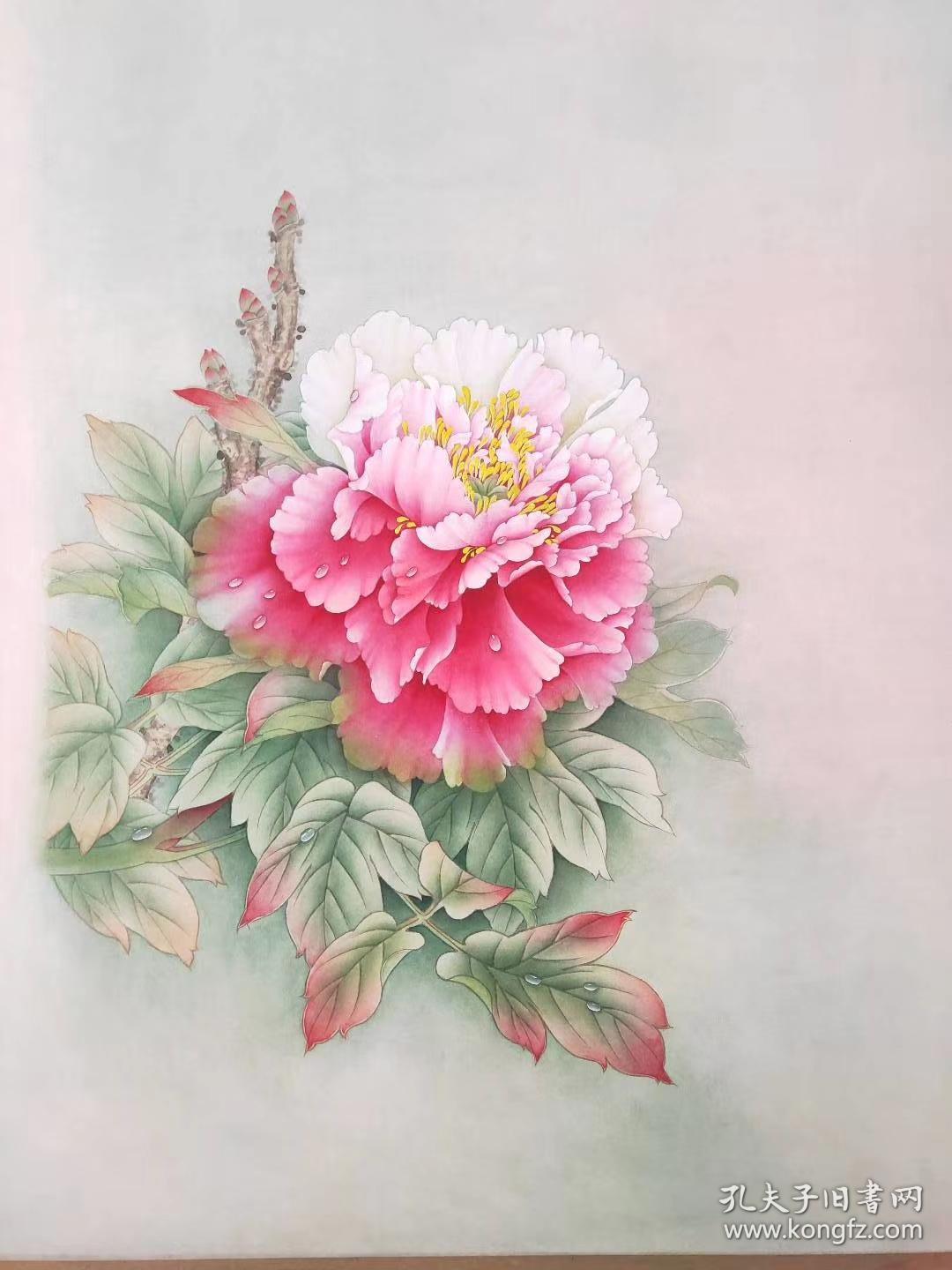 宁珍蕾可合影工笔斗方花鸟牡丹