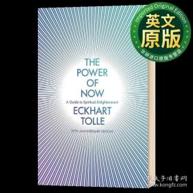 当下的力量 英文原版 The Power of Now 埃克哈特托利 Eckhart Tolle 英文版心理学励志成功畅销书籍 进口原版英语书