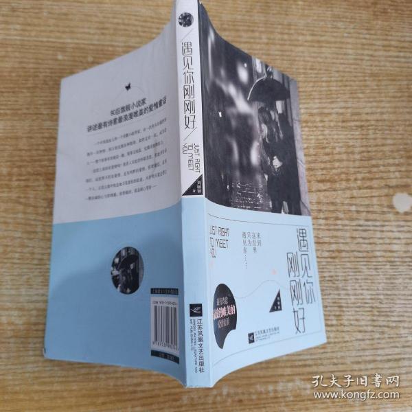 旧书社装帧:平装出版时间:2015-02出版社:江苏文艺出版社作者:刘丽丽