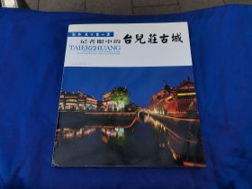 聚焦天下第一庄——记者眼中的台儿庄古城（正版现货，内页无字迹划线）