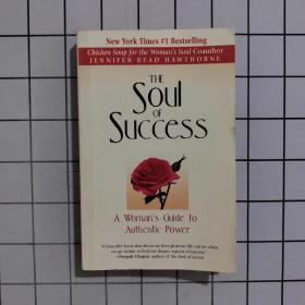 The Soul Of Success