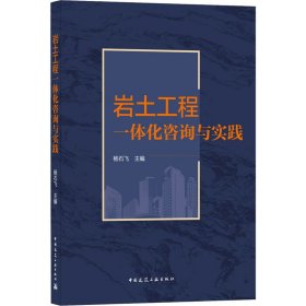 岩土工程一体化咨询与实践 9787112260195