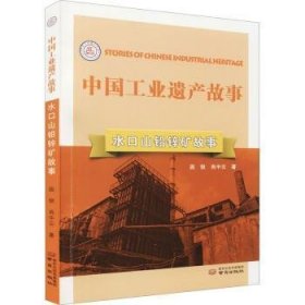 水口山铅锌矿故事 9787553335360 段锐//肖中云 南京出版社
