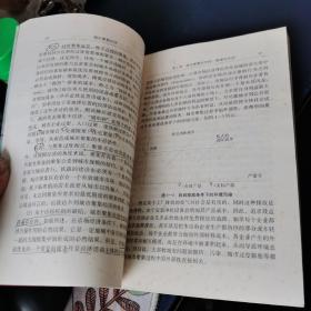 城市聚焦经济:一般理论及其对中国城市化问题的应用分析