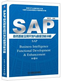 SAP商务智能实用开发与高级功能详解