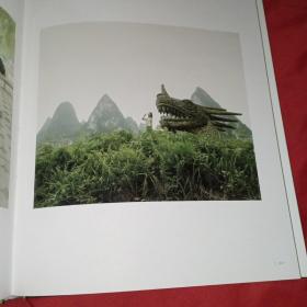 HE XIAOHUA 贺肖华（全球限量500本）正版 它语 贺肖华签名 编号064