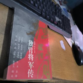 独臂将军传