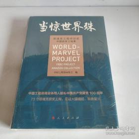 当惊世界殊:菲迪克工程项目奖中国获奖工程集