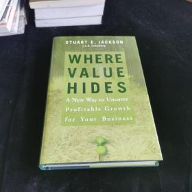 Where Value Hides：A New Way to Uncover Profitable Growth for Your Business