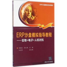 ERP沙盘模拟指导教程：实物+电子+人机对抗 9787302439066
