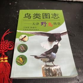 鸟类图志:天津野鸟欣赏