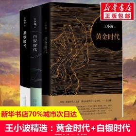 時代新版+白銀時代+黑鐵時代 中國現當代文學 王小波 新華正版
