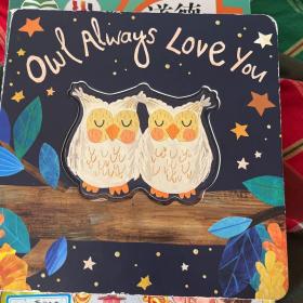 英文原版 owl always love you撕不烂纸板书