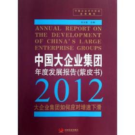 中国大企业集团年度发展报告 管理理论 中国企业评价协会 新华正版