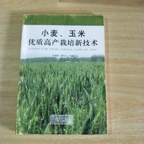 小麦：玉米优质高产栽培新技术