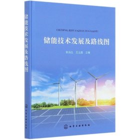 储能技术发展及路线图(精) 化学工业出版社 9787374400 陈海生、吴玉庭