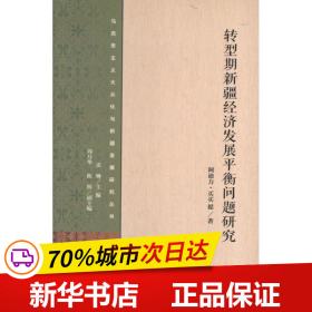 保正版！转型期新疆经济发展平衡问题研究9787509744840社会科学文献出版社阿迪力.买买提