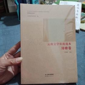 2021云南文学年度选本 诗歌卷未开封