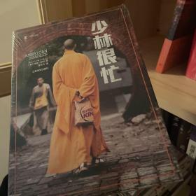 少林很忙：和尚，飞踢与铁裆功：一个美国人在新中国的奥德赛