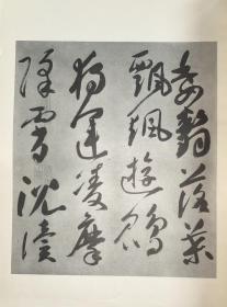 唐释高闲草书千字文