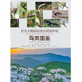 正版书安吉小鲵国家级自然保护区鸟类图鉴